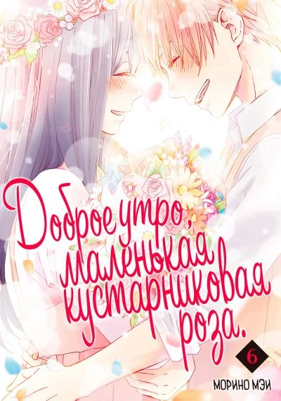 Невеста волшебника
